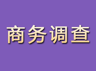 防城港商务调查